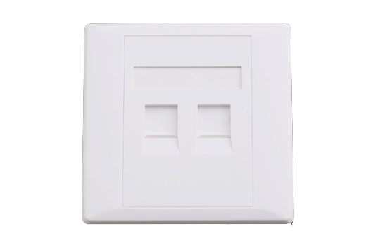 RJ 45 Faceplate dual port-Paramount MM