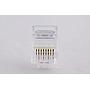 RJ 45 plug for Cat 6-Paramount MM